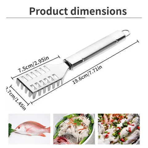Stainless steel Scaling Tool, Fish Scale Planing Tool, Fish Scale